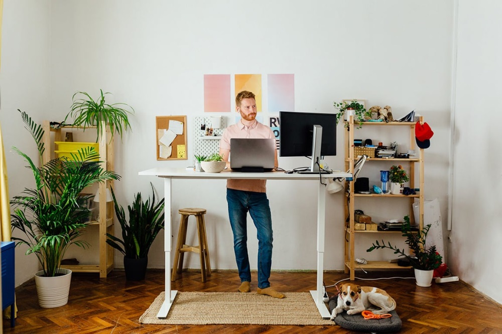 Renovation Ideas for Remote Work