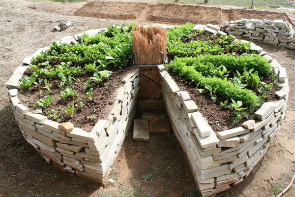 Build a Raised Garden Bed