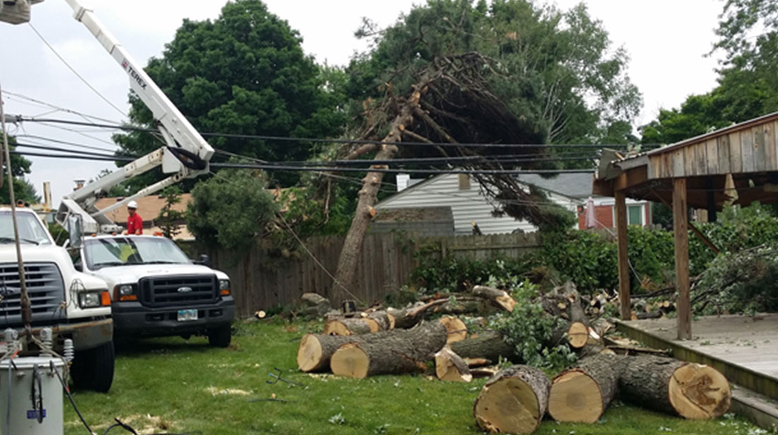 Protecting your home – Tree removal for property safety