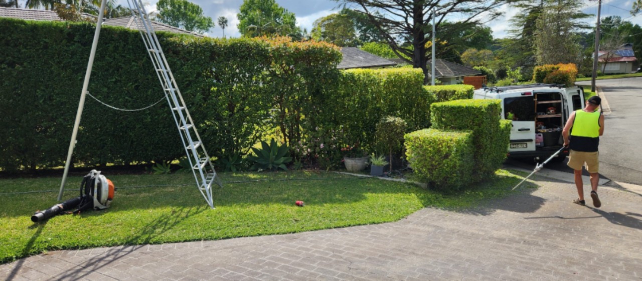 The Ultimate Guide to Garden Clean Up in Hornsby: Transforming Your Outdoor Space