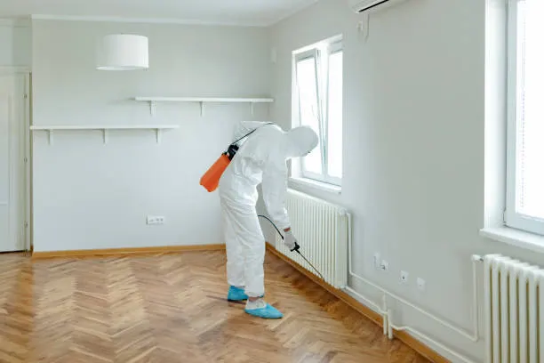 Things To Do Before And After a Pest Control Treatment At Home